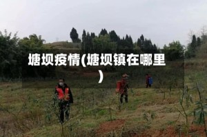 塘坝疫情(塘坝镇在哪里)