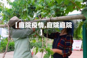 【庭院疫情,庭院庭院】