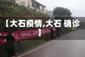 【大石疫情,大石 确诊】
