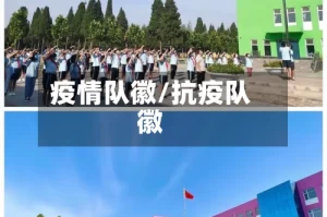 疫情队徽/抗疫队徽