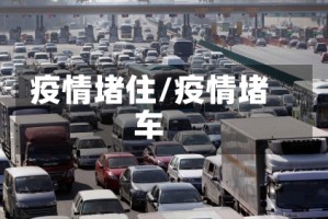 疫情堵住/疫情堵车