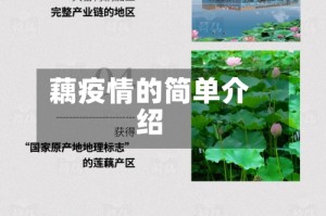 藕疫情的简单介绍