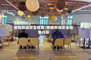 疫情期间安全检查/疫情期间安全检查内容