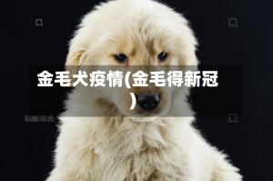金毛犬疫情(金毛得新冠)