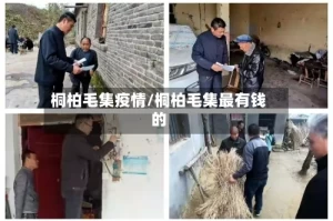 桐柏毛集疫情/桐柏毛集最有钱的
