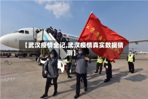 【武汉疫情全记,武汉疫情真实数据猜测】