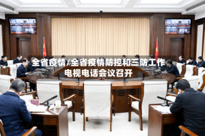 全省疫情/全省疫情防控和三防工作电视电话会议召开