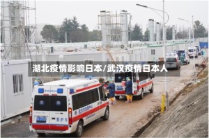湖北疫情影响日本/武汉疫情日本人