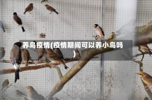 养鸟疫情(疫情期间可以养小鸟吗)