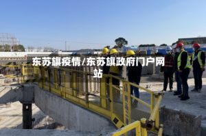 东苏旗疫情/东苏旗政府门户网站