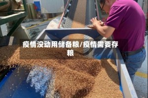 疫情没动用储备粮/疫情需要存粮