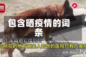 包含晒疫情的词条