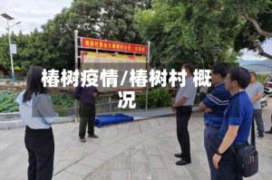 椿树疫情/椿树村 概况