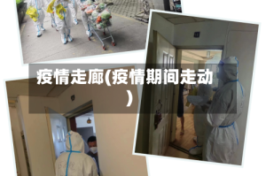 疫情走廊(疫情期间走动)