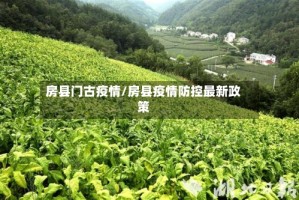 房县门古疫情/房县疫情防控最新政策