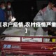 【农户疫情,农村疫情严重】