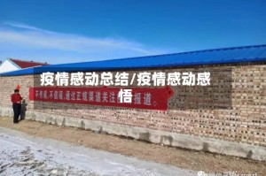 疫情感动总结/疫情感动感悟