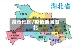 疫情地图/疫情地图湖北