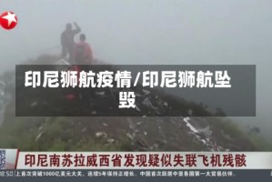 印尼狮航疫情/印尼狮航坠毁