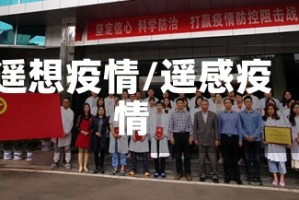 遥想疫情/遥感疫情