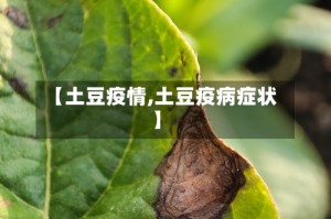 【土豆疫情,土豆疫病症状】