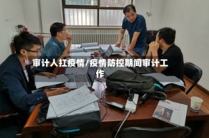 审计人扛疫情/疫情防控期间审计工作