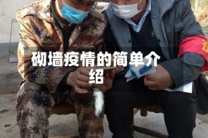 砌墙疫情的简单介绍