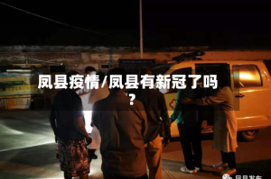 凤县疫情/凤县有新冠了吗?