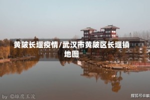 黄陂长堰疫情/武汉市黄陂区长堰镇地图