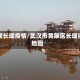 黄陂长堰疫情/武汉市黄陂区长堰镇地图