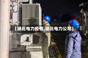 【湖北电力疫情,湖北电力公司】
