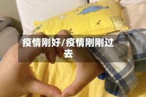疫情刚好/疫情刚刚过去