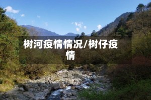 树河疫情情况/树仔疫情