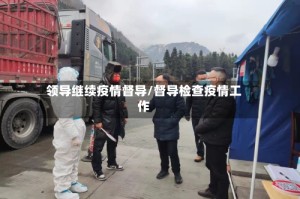 领导继续疫情督导/督导检查疫情工作