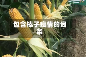 包含棒子疫情的词条