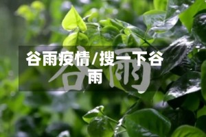 谷雨疫情/搜一下谷雨