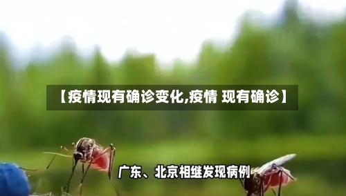【疫情现有确诊变化,疫情 现有确诊】-第1张图片