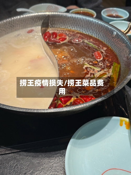 捞王疫情损失/捞王菜品费用-第3张图片