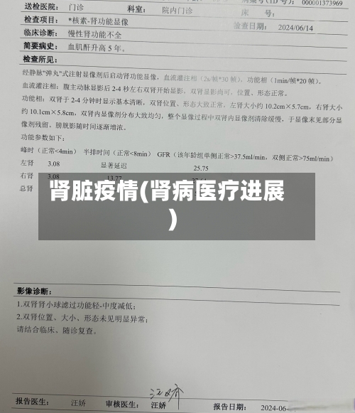 肾脏疫情(肾病医疗进展)-第2张图片