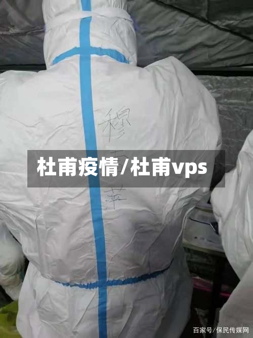 杜甫疫情/杜甫vps-第3张图片