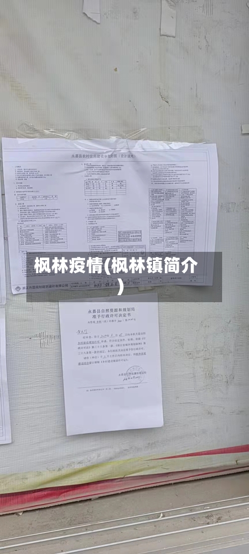 枫林疫情(枫林镇简介)-第3张图片