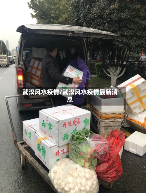 武汉风水疫情/武汉风水疫情最新消息-第1张图片