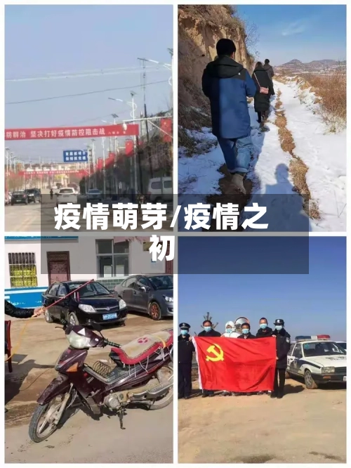 疫情萌芽/疫情之初-第1张图片
