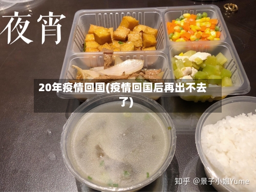20年疫情回国(疫情回国后再出不去了)-第2张图片