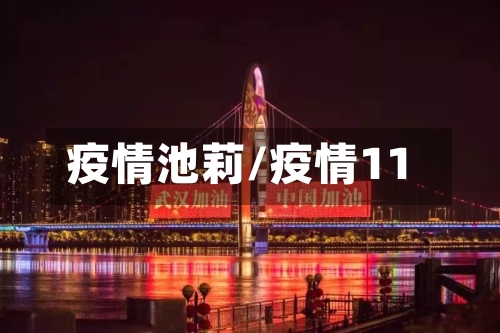 疫情池莉/疫情11-第1张图片
