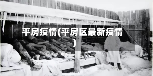 平房疫情(平房区最新疫情)-第3张图片