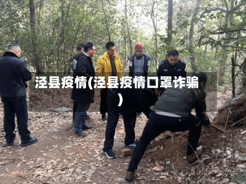 泾县疫情(泾县疫情口罩诈骗)-第1张图片