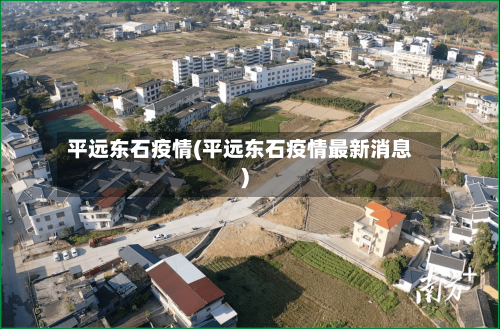 平远东石疫情(平远东石疫情最新消息)-第3张图片