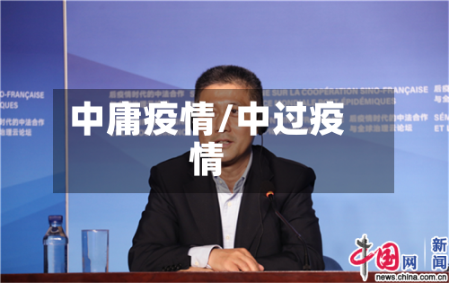中庸疫情/中过疫情-第1张图片