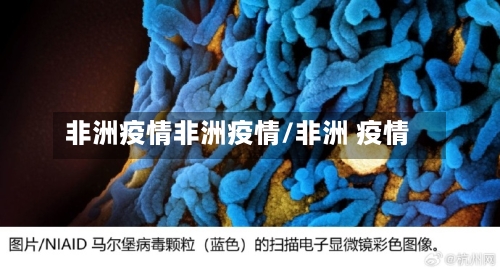 非洲疫情非洲疫情/非洲 疫情-第2张图片